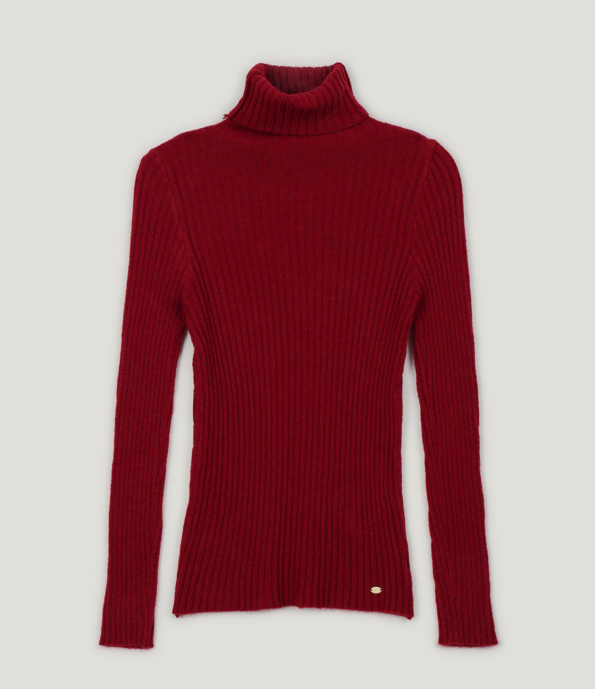 Believe Ribbed Turtleneck Knit Top