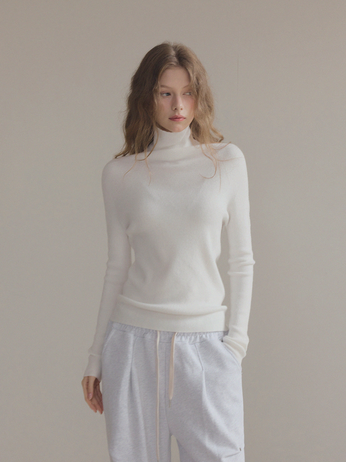 Sames Wholegarment Turtleneck Long Sleeve Knit